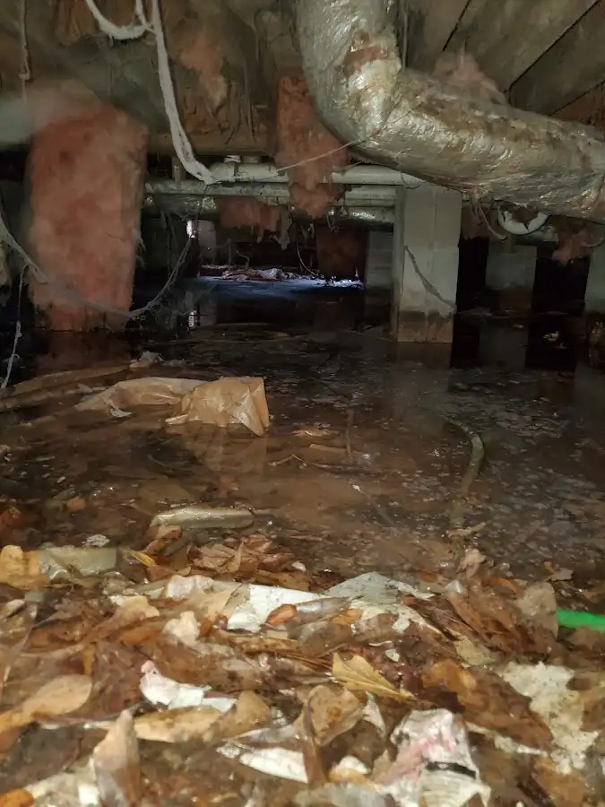 Crawl space flood assessment for Commercial Water Damage Restoration in Walkertown